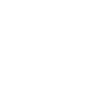 Fauda Race transparent white